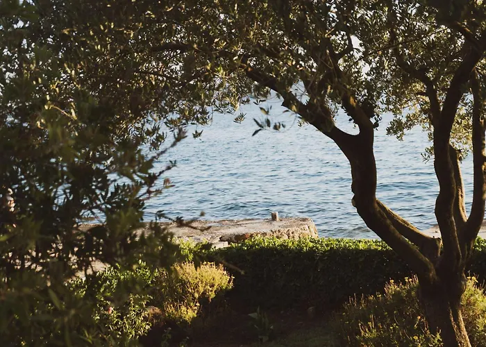 House Petar 1 זאדאר