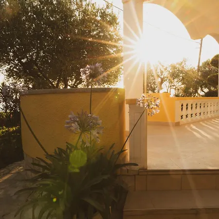 Hébergement de vacances House Petar 1 *